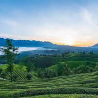500萬噸/年！湖北儲量約1.12億噸建筑用花崗巖礦擬掛牌出讓